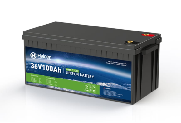 Batería LiFePO4 de 36 V y 100 Ah del grupo 4D (2)