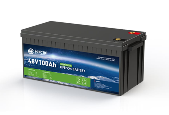 Batería LiFePO4 de 48 V y 100 Ah del grupo 4D (2)