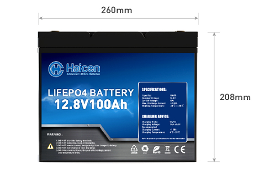 Batería de ciclo profundo LiFePO4 del grupo 24 (2)